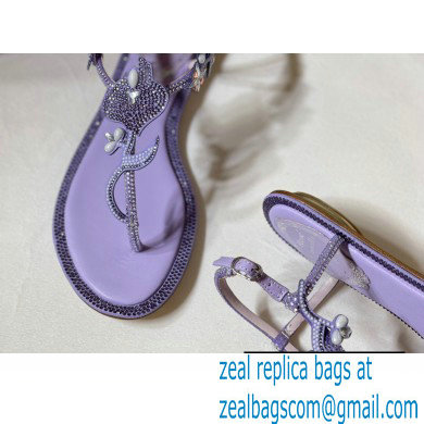 Rene Caovilla Flat flip flops Jewelled Sandals with Crystals and Pearl Purple 2023 - Click Image to Close