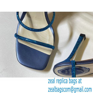 Rene Caovilla Heel 10.5cm Jewel Sandals Cleo 03