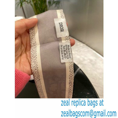 Dior Silk Twill Mitzah Scarf 6x105cm 01 2023