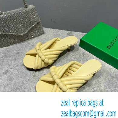 Bottega Veneta Heel 4cm Tubular straps leather Freckles Mules Yellow 2023 - Click Image to Close