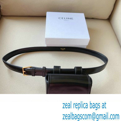 Celine BELT BAG TRIOMPHE BELT in SHINY CALFSKIN Black 2023 - Click Image to Close