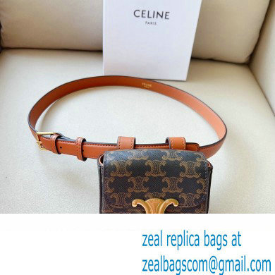 Celine BELT BAG TRIOMPHE BELT in in TRIOMPHE CANVAS AND CALFSKIN 2023