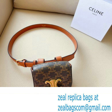 Celine BELT BAG TRIOMPHE BELT in in TRIOMPHE CANVAS AND CALFSKIN 2023 - Click Image to Close