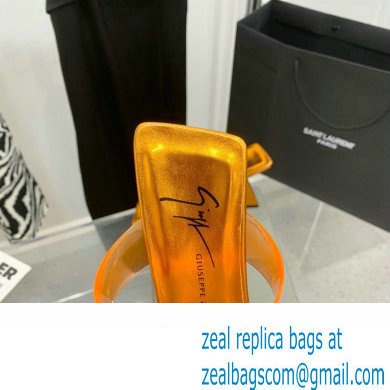 Giuseppe Zanotti Heel 8.5cm Florance Plexi PVC Mules 08 2023