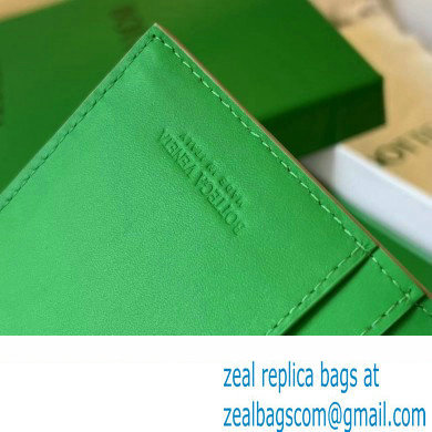 Bottega Veneta Intrecciato leather Long Wallet 676593 Light Green