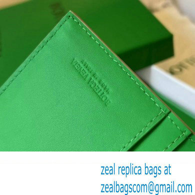 Bottega Veneta Intrecciato leather Long Wallet 676593 Light Green - Click Image to Close