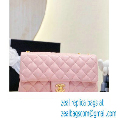 CHANEL SHEEPSKIN MEDIUM CLASSIC FLAP BAG WITH A CAMELLIA AS4046 PINK 2023