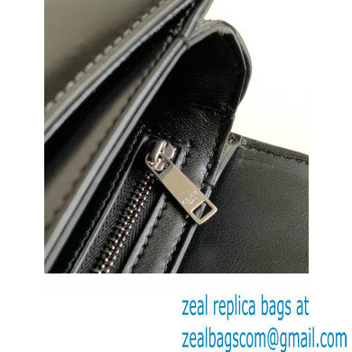 Celine CHAIN BESACE CLEA BAG in Shiny calfskin 110413 Black