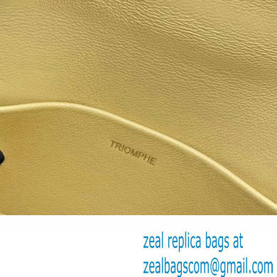 Celine Mini besace triomphe Bag in SHINY CALFSKIN Yellow