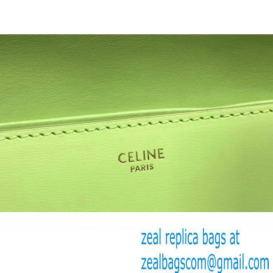 Celine SHOULDER BAG triomphe in Shiny calfskin 194143 Light Green