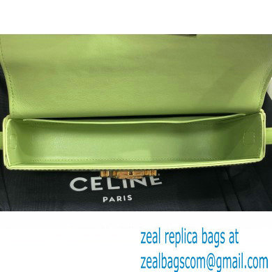 Celine SHOULDER BAG triomphe in Shiny calfskin 194143 Light Green - Click Image to Close