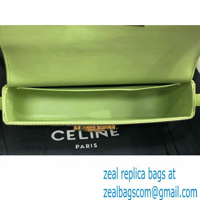 Celine SHOULDER BAG triomphe in Shiny calfskin 194143 Light Green