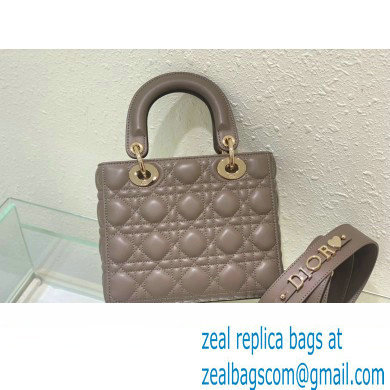Dior Small Lady Dior My ABCDior Bag in gray Cannage Lambskin 2023
