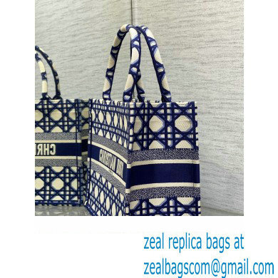 Dior medium Book Tote Bag in Beige and Blue Macrocannage Embroidery 2023 - Click Image to Close