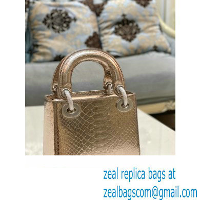 Lady Dior Python leather Mini Bag 07 2023