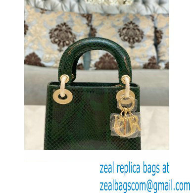 Lady Dior Python leather Mini Bag 16 2023