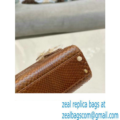 Lady Dior Python leather Mini Bag 18 2023