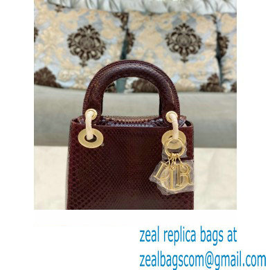 Lady Dior Python leather Mini Bag 19 2023
