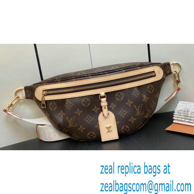 Louis Vuitton Monogram Canvas High Rise bumbag Bag M46784 2023