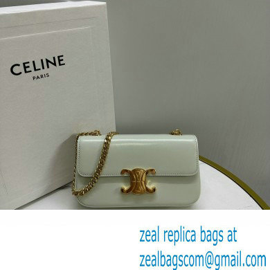 celine Shoulder Bag Triomphe in shiny calfskin jade 2023 - Click Image to Close