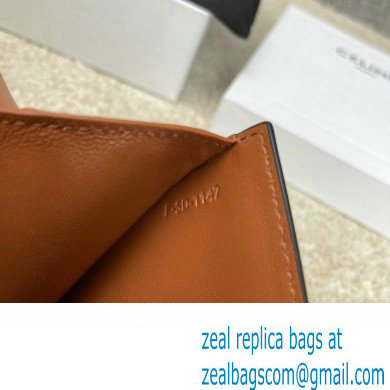 celine Small Strap Wallet in Triomphe Canvas and lambskin Tan 2022