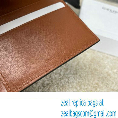 celine Small Strap Wallet in Triomphe Canvas and lambskin Tan 2022 - Click Image to Close