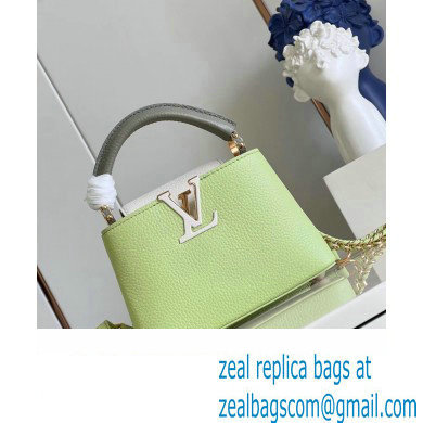 louis vuitton Capucines Mini handbag GREEN/WHITE M22916 2023