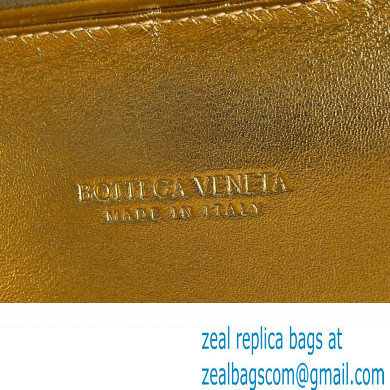 Bottega Veneta Knot Intreccio lamina leather minaudiere with leather sequins Bag Gold 2024 - Click Image to Close