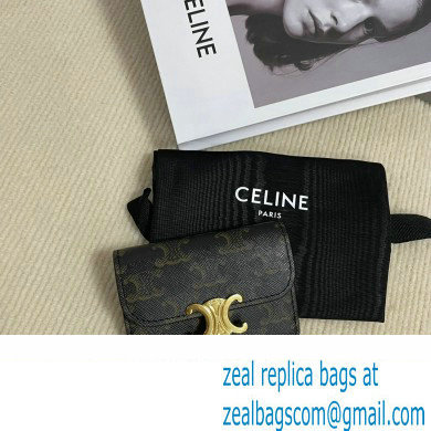 CELINE CARD HOLDER WITH FLAP TRIOMPHE in Triomphe Canvas Tan 10I582 2023