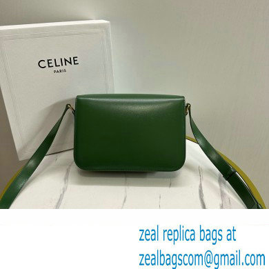 CELINE Classique Triomphe Bag in shiny calfskin Amazone 2024 - Click Image to Close