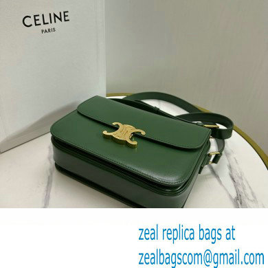 CELINE Classique Triomphe Bag in shiny calfskin Amazone 2024 - Click Image to Close