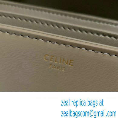 CELINE Classique Triomphe Bag in shiny calfskin pebble 2024