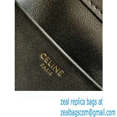 CELINE MINI BUCKET TRIOMPHE in SMOOTH CALFSKIN Black 2024