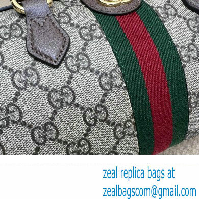 Gucci Ophidia GG mini top handle bag 772053 Beige and ebony GG Supreme canvas 2024