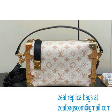 Louis Vuitton Monogram canvas Side Trunk Bag M46907 2024