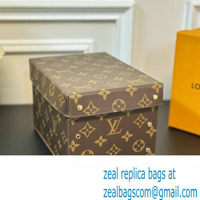 Louis Vuitton Vivienne Balloon Cardboard Box 07