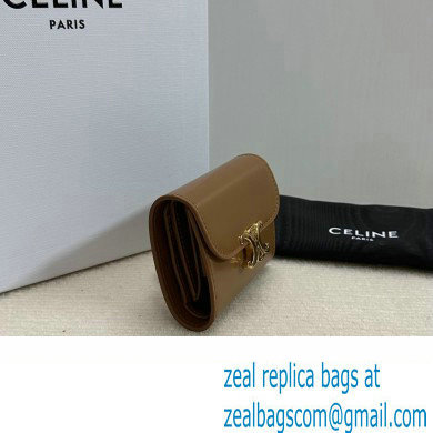 celine Small Wallet TRIOMPHE in Shiny calfskin Bronze 10D783 2023