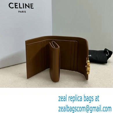 celine Small Wallet TRIOMPHE in Shiny calfskin Bronze 10D783 2023 - Click Image to Close