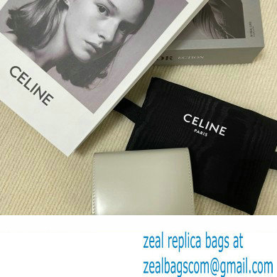 celine Small Wallet TRIOMPHE in Shiny calfskin gray 10D783 2023