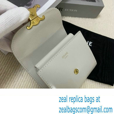 celine Small Wallet TRIOMPHE in Shiny calfskin gray 10D783 2023