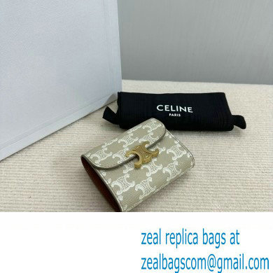 celine Small Wallet TRIOMPHE in TRIOMPHE CANVAS Grege 2024