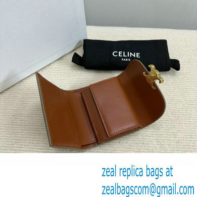 celine Small Wallet TRIOMPHE in TRIOMPHE CANVAS Grege 2024