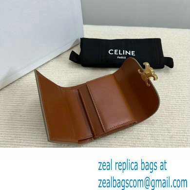 celine Small Wallet TRIOMPHE in TRIOMPHE CANVAS Grege 2024 - Click Image to Close