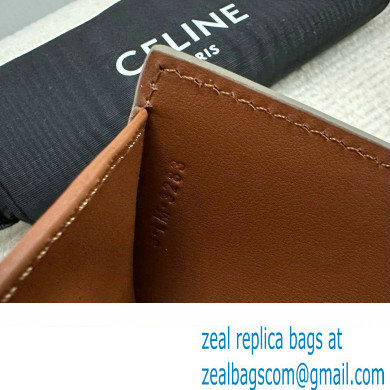 celine Small Wallet TRIOMPHE in TRIOMPHE CANVAS Grege 2024 - Click Image to Close