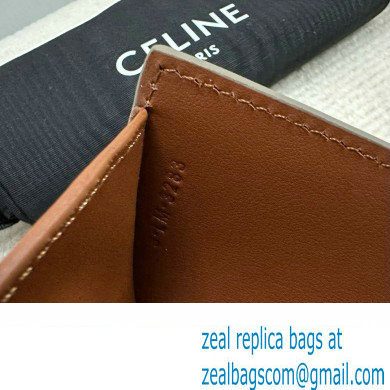 celine Small Wallet TRIOMPHE in TRIOMPHE CANVAS Grege 2024