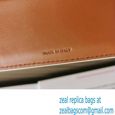 celine Small Wallet TRIOMPHE in TRIOMPHE CANVAS white/tan 2024