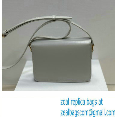 celine Teen Triomphe Bag in shiny calfskin green clay 2024 - Click Image to Close