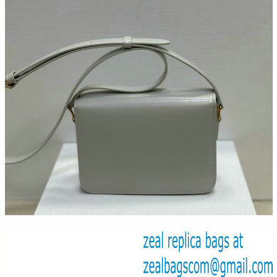 celine Teen Triomphe Bag in shiny calfskin green clay 2024