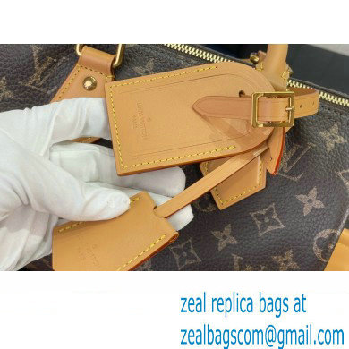 louis vuitton Speedy Bandouliere 25 bag M24443 2024