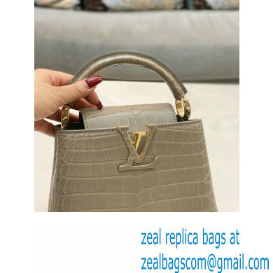 louis vuitton mini CAPUCINES bag in matt alligator leather gray with gold hardware